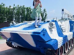 -泰达航母主题公园