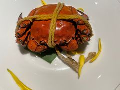 -觀芷隐轩