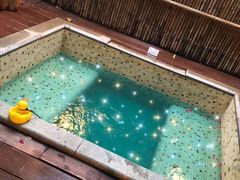 -春晖园度假酒店温泉