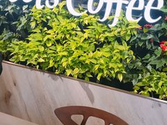 -Peet's Coffee皮爷咖啡(大学路店)