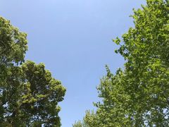 -上海虹桥迎宾馆