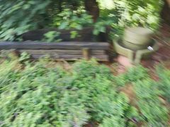 -远山有窑