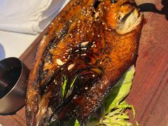 -一棵树·意大利西餐厅One Tree(新城店)