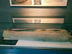 -巴音郭楞蒙古自治州博物馆