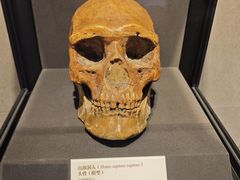 -北京周口店北京人遗址博物馆