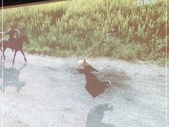 -大桶大足浴(南翔店)