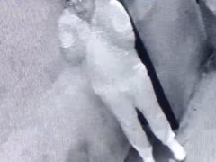-Mr.Fox狐狸先生超级密室(南山店)