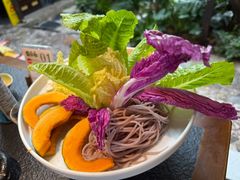 -菌自由丨野生菌火锅特色庭院餐厅(丽江古城店)