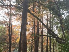 -人民公园(罗湖区)