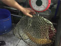 -东江湖游水三文鱼美食城