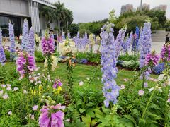 -深圳国际园林花卉博览园