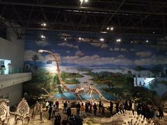 -自贡恐龙博物馆