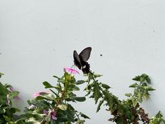 -东钱湖旅游度假区