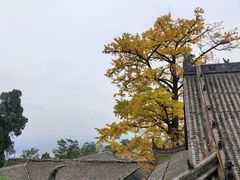 -金堂县云顶石城风景区