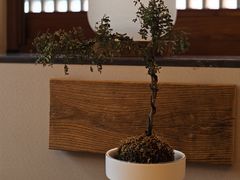 -隐溪茶馆(静安寺店)