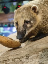 -Zoolung Zoolung动物主题公园(海信广场店)