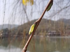 -孙武文化园-停车场