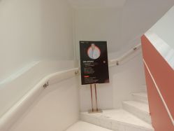 -WENDY·温迪皮肤管理