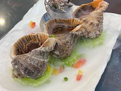 鸿山角螺-堂宴·老厦门私房菜(1988仙岳总店)