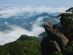 阳岭云海-江西阳明山国家森林公园