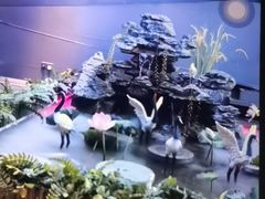 -陆琴脚艺·足浴·SPA(夫子庙店)