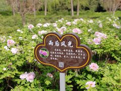 -洛阳市隋唐城遗址植物园