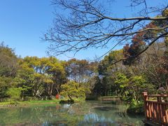 -桃花岛风景旅游区