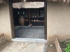 -上海都市菜园
