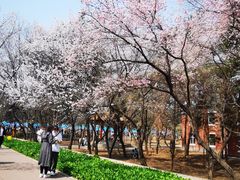 -吉林大学(南岭校区)