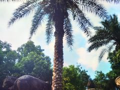 -海口观澜湖火山温泉谷