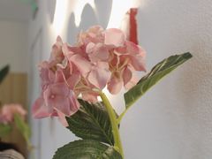 景观位-Bai Meow法式西点咖啡