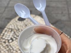 -洪馨椰子