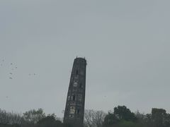 -上海佘山国家森林公园天马山园