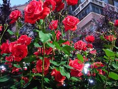 -湘西小馆(滨河路店)