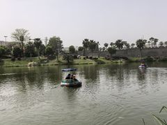 -枫香湖儿童公园