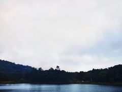 -海南热带雨林国家公园吊罗山景区