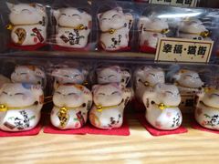 -猫咪博物馆(顶澳仔猫街店)