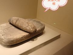 -辽宁省博物馆