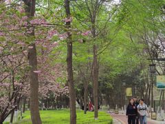 -西安汉城湖景区