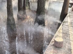 -东湖落雁景区