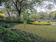 -晓港公园