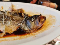 -陶然居·重庆菜(解放碑店)