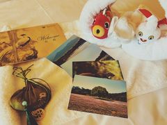 -福建鲤鱼洲酒店