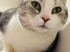 -平行世界·猫咖(首经贸店)