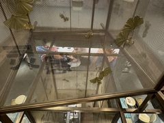 -星巴克臻选(成都宽窄巷子店)