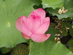 -苏州香山国际大酒店