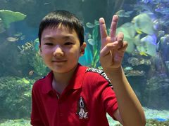 -华夏文旅海洋公园