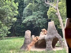 -杭州野生动物世界