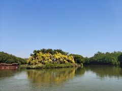 -大湾区中央湿地公园