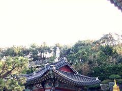 -海东龙宫寺